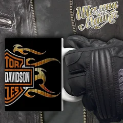 moto, bike, мото, мотоцикл